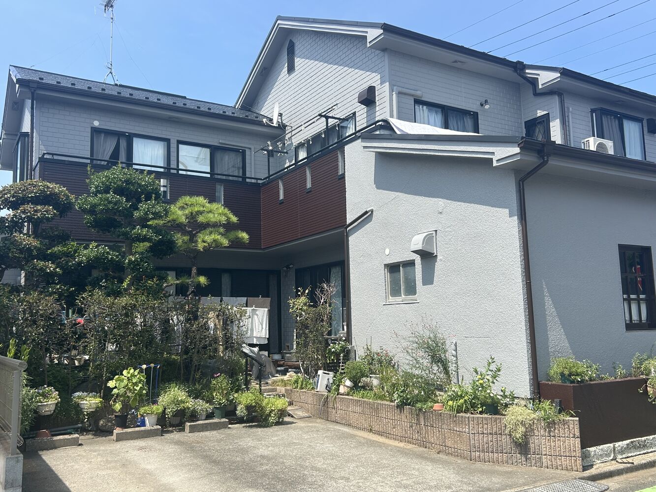画像2845