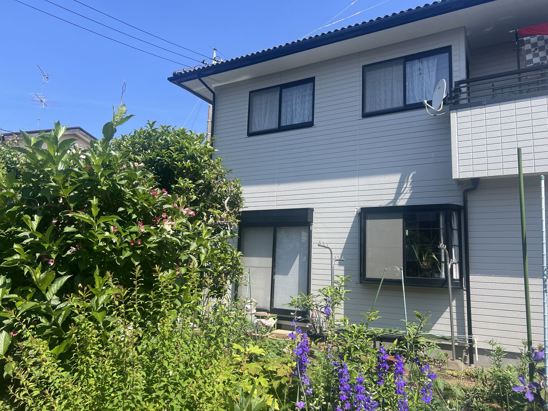 09DF2333-17FE-4753-9F66-E30E6D6443C3.jp