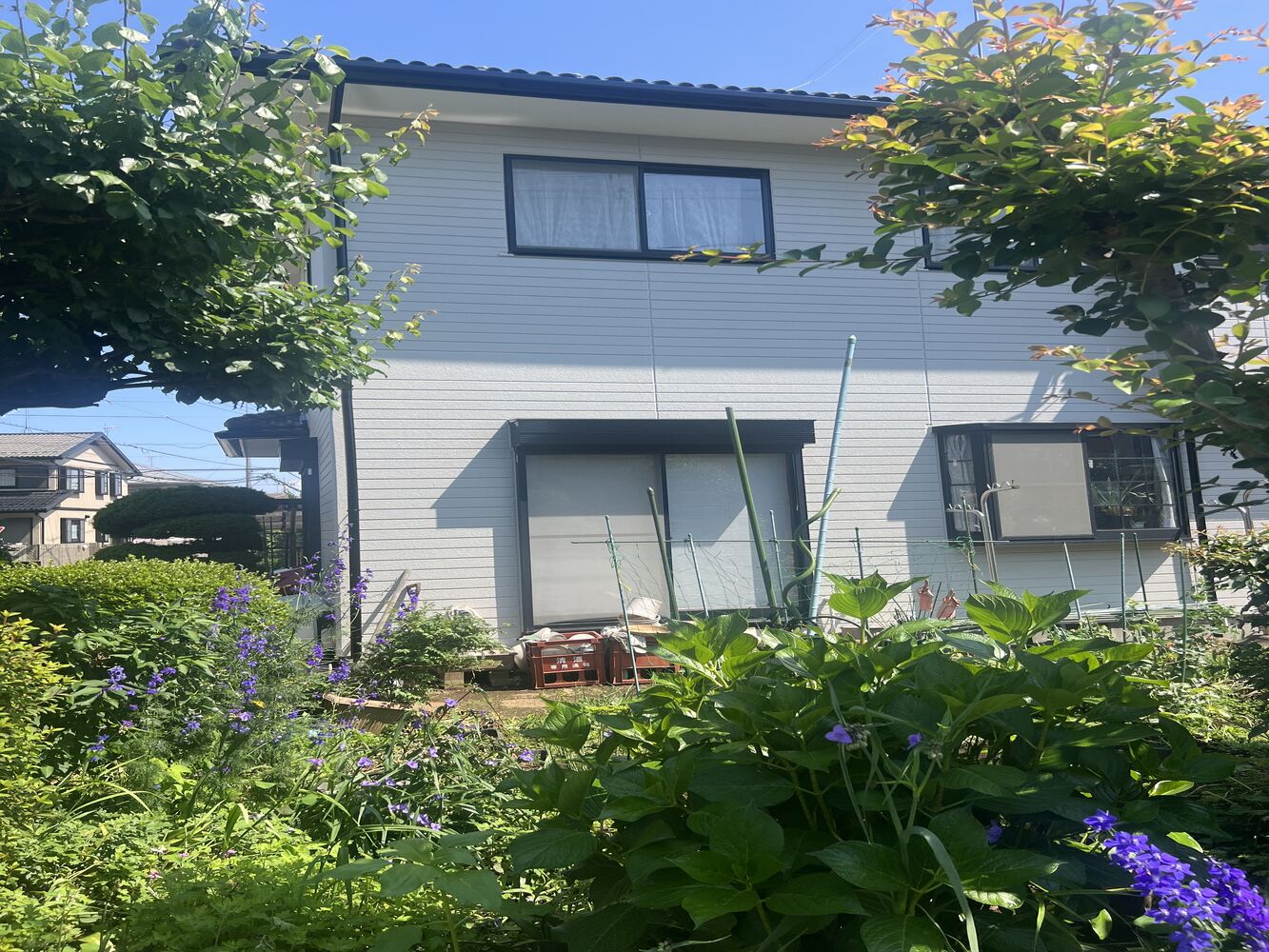 画像4972